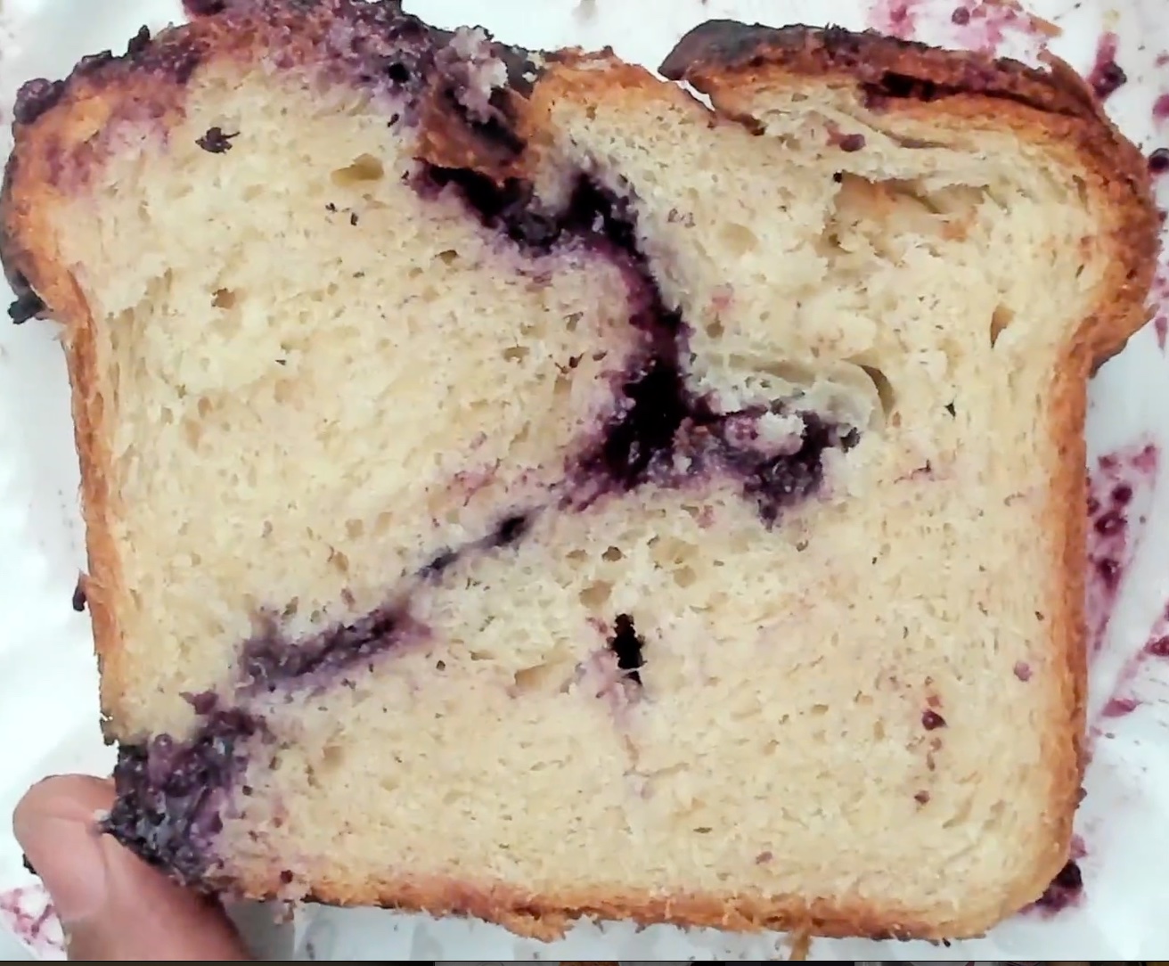 a cheese and blueberry encrusted slice of bread